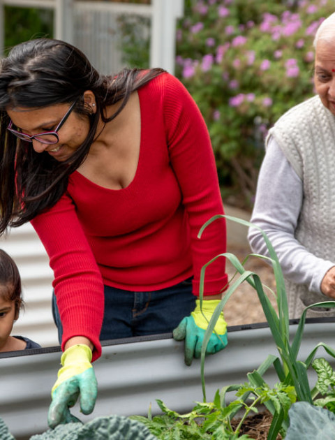 Gardening 